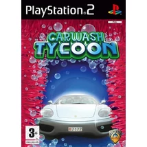 Carwash Tycoon PlayStation 2 (használt)