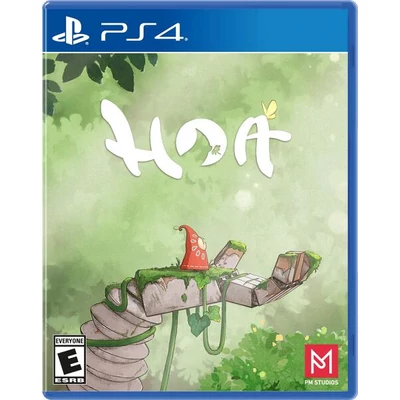Hoa PlayStation 4 (használt)